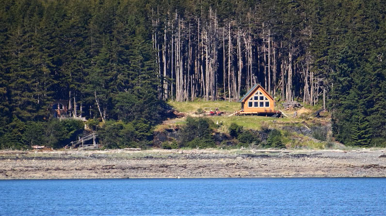 Reasons to Live Off the Grid and Become Self-Reliant